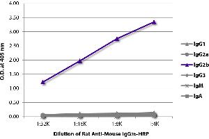 ELISA plate was coated with purified mouse IgG1, IgG2a, IgG2b, IgG3, IgM, and IgA. (Rat anti-Mouse IgG2b Antibody (HRP))