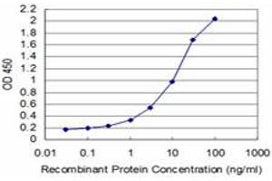 Detection limit for recombinant GST tagged TCEA3 is approximately 0. (TCEA3 antibody  (AA 1-348))