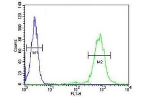 CD69 antibody flow cytometric analysis of HL-60 cells (right histogram) compared to a negative control (left histogram).