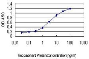 Detection limit for recombinant GST tagged NFYB is approximately 0. (NFYB antibody  (AA 1-207))