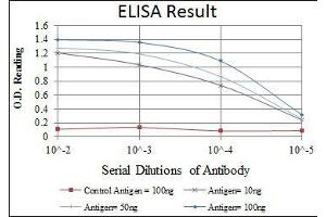 Red: Control Antigen (100 ng), Purple: Antigen (10 ng), Green: Antigen (50 ng), Blue: Antigen (100 ng), (CDK1 antibody)