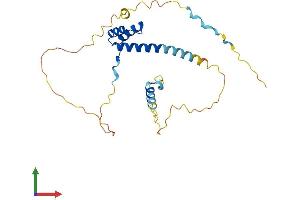 Protein Structure (PS) image for Paired Related Homeobox 2 (PRRX2) (AA 1-253) protein (His tag) (ABIN7551026)