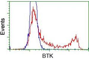 Image no. 4 for anti-Bruton Agammaglobulinemia tyrosine Kinase (BTK) antibody (ABIN1496971) (BTK antibody)