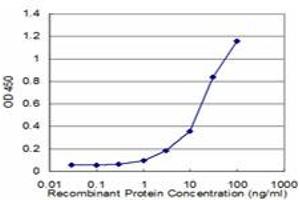 Detection limit for recombinant GST tagged NUDT21 is approximately 3ng/ml as a capture antibody. (NUDT21 antibody  (AA 1-227))