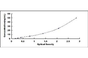 Typical standard curve (alpha 1 Adrenergic Receptor ELISA Kit)