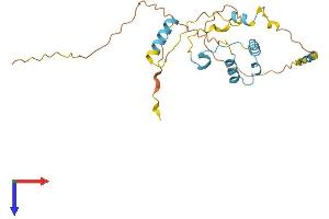 AlphaFold protein structure predicition of Human Recombinant CCDC71L Protein, UniprotID Q8N9Z2 (CCDC71L Protein (AA 1-235) (His tag))