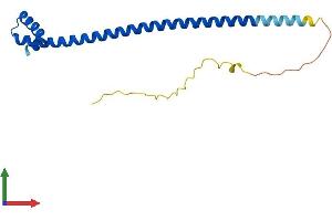 AlphaFold protein structure predicition of Mouse Recombinant Dydc1 Protein, UniprotID Q9D9T0 (DYDC1 Protein (AA 1-175) (His tag))