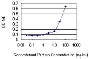 Detection limit for recombinant GST tagged RASA1 is 1 ng/ml as a capture antibody. (RASA1 antibody  (AA 948-1047))