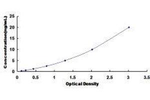 Enhancer of Zeste Homolog 1 (EZH1) ELISA Kit