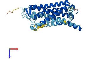 AlphaFold protein structure predicition of Human Recombinant OR10C1 Protein, UniprotID Q96KK4 (OR10C1 Protein (AA 1-312) (His tag))