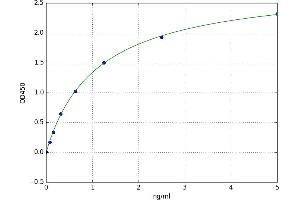 Wilms Tumor 1 Interacting Protein (WTIP) ELISA Kit
