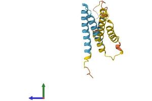AlphaFold protein structure predicition of Mouse Recombinant Cmtm5 Protein, UniprotID Q9D6G9 (CMTM5 Protein (AA 1-156) (His tag))