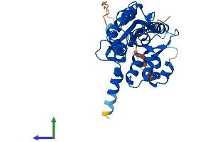 Protein Structure (PS) image for Nicotinamide Nucleotide Adenylyltransferase 1 (NMNAT1) (AA 1-285) protein (His tag) (ABIN7565021)
