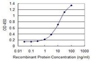 Detection limit for recombinant GST tagged CREB3L2 is 0. (CREB3L2 antibody  (AA 421-518))