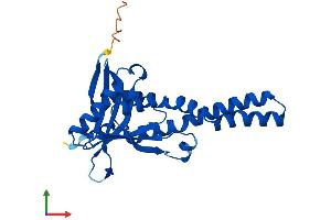 AlphaFold protein structure predicition of Mouse Recombinant Nat8b-ps Protein, UniprotID E0CYC6 (NAT8B Protein (AA 1-232) (His tag))
