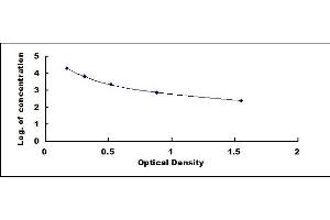 Rabbit Capture antibody from the kit in ELISA with Positive Control: Serum. (CAMP ELISA Kit)