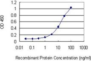 Detection limit for recombinant GST tagged NHLRC1 is 0. (NHLRC1 antibody  (AA 137-246))