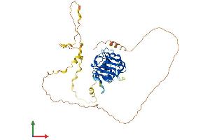 AlphaFold protein structure predicition of Mouse Recombinant Atat1 Protein, UniprotID Q8K341