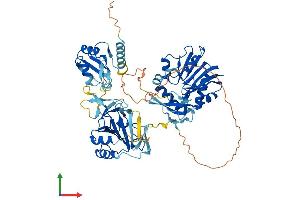 AlphaFold protein structure predicition of Human Recombinant ALKBH8 Protein, UniprotID Q96BT7