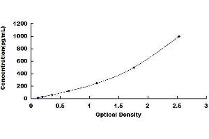 Typical standard curve (STING/TMEM173 ELISA Kit)