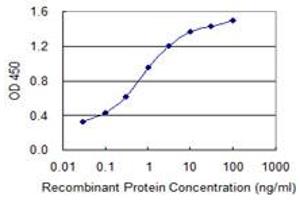 Detection limit for recombinant GST tagged CRYGC is 0. (CRYGC antibody  (AA 75-174))
