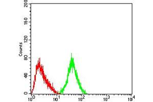 Flow cytometric analysis of SH-SY5Y cells using GRM3 mouse mAb (green) and negative control (red). (Metabotropic Glutamate Receptor 3 antibody  (AA 433-576))