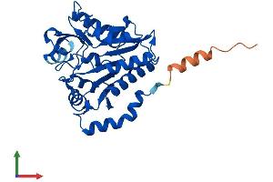 AlphaFold protein structure predicition of Human Recombinant GNPDA1 Protein, UniprotID P46926