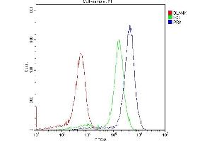Flow Cytometry analysis of K562 cells using anti-PRX antibody (ABIN5693300). (Periaxin antibody  (AA 1-91))