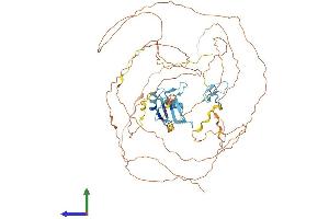 AlphaFold protein structure predicition of Human Recombinant EWSR1 Protein, UniprotID Q01844 (EWSR1 Protein (AA 1-656) (His tag))