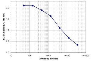 ELISA of anti-Brd2 antibody ELISA results of Rabbit anti-Brd2 antibody. (BRD2 antibody  (Internal Region))