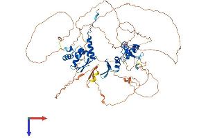 AlphaFold protein structure predicition of Human Recombinant ZBTB33 Protein, UniprotID Q86T24 (ZBTB33 Protein (AA 1-672) (His tag))