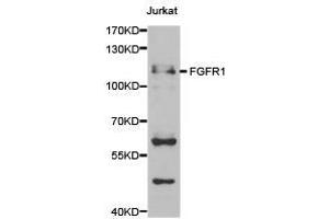 Western Blotting (WB) image for anti-Fibroblast Growth Factor Receptor 1 (FGFR1) antibody (ABIN1872687) (FGFR1 antibody)