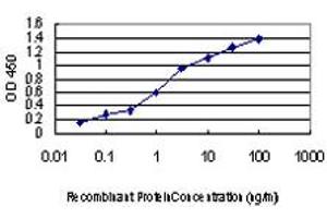 Detection limit for recombinant GST tagged MAP4K5 is approximately 0. (MAP4K5 antibody  (AA 361-470))