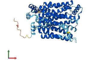 AlphaFold protein structure predicition of Human Recombinant SLC2A11 Protein, UniprotID Q9BYW1 (SLC2A11 Protein (AA 1-496) (His tag))