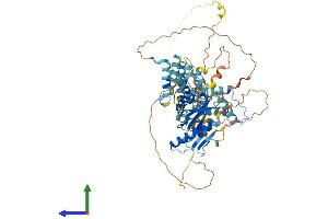AlphaFold protein structure predicition of Mouse Recombinant Tigd5 Protein, UniprotID Q499M4