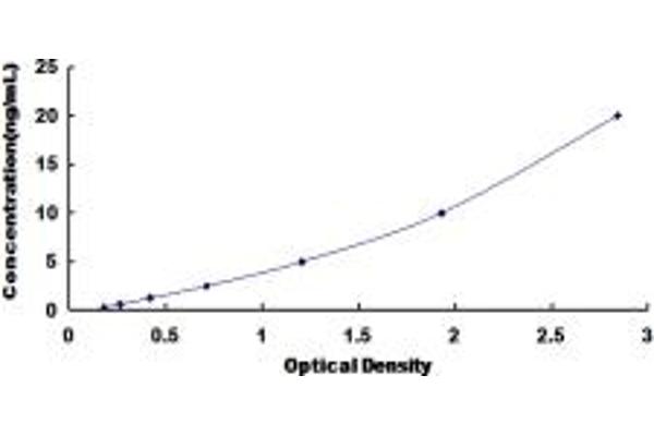 Adenylate Kinase 3 ELISA Kit