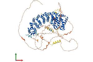 Protein Structure (PS) image for SAPS Domain Family, Member 1 (SAPS1) (AA 1-881) protein (His tag) (ABIN7555051)