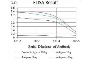 Black line: Control Antigen (100 ng), Purple line: Antigen(10 ng), Blue line: Antigen (50 ng), Red line: Antigen (100 ng), (Intestinal Alkaline Phosphatase antibody  (AA 397-458))