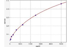 PADI2 ELISA Kit