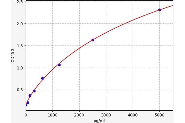 PADI2 ELISA Kit