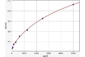 Typical standard curve (PADI2 ELISA Kit)