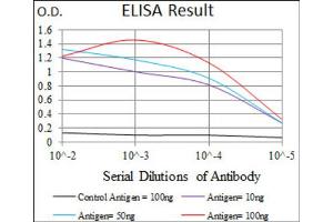 Red: Control Antigen (100ng) ; Purple: Antigen (10ng) ; Green: Antigen (50ng) ; Blue: Antigen (100ng). (Chromogranin A antibody  (AA 87-252))