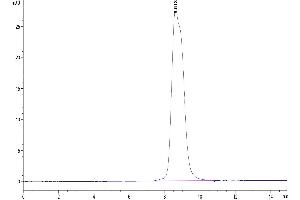 Size-exclusion chromatography-High Pressure Liquid Chromatography (SEC-HPLC) image for Interleukin 13 Receptor, alpha 1 (IL13RA1) (AA 26-340) protein (His tag) (ABIN7275043)