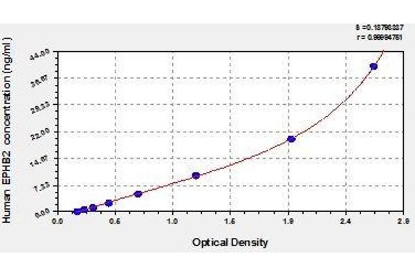 EPH Receptor B2 ELISA Kit