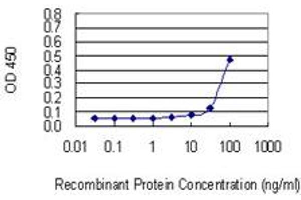 FLRT1 antibody  (AA 1-674)