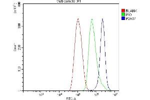 Flow Cytometry analysis of THP-1 cells using anti-P2X7/P2RX7 antibody (ABIN7601815).