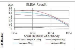 Black line: Control Antigen (100 ng), Purple line: Antigen(10 ng), Blue line: Antigen (50 ng), Red line: Antigen (100 ng), (G-CSF antibody  (AA 1-207))