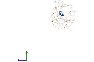 Protein Structure (PS) image for Microtubule-associated Tumor Suppressor Candidate 2 (MTUS2) (AA 1-1353) protein (His tag) (ABIN7563716)