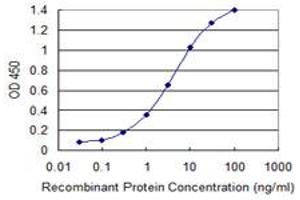 Detection limit for recombinant GST tagged PCDHGB2 is 0. (PCDHGB2 antibody  (AA 94-199))