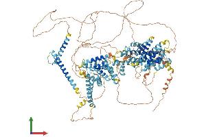 AlphaFold protein structure predicition of Human Recombinant SREBF2 Protein, UniprotID Q12772